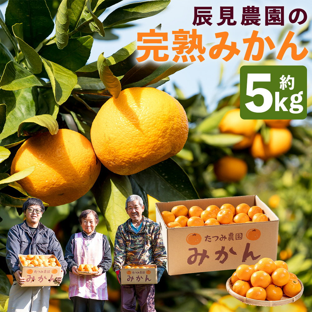 【ふるさと納税】L90x1【先行予約】辰見農園の完熟みかん 5kg | みかん ミカン 蜜柑 小玉 有明海 柑橘 甘い Sサイズ 完熟 果物 フルーツ 佐賀県 太良町 【2026年10月下旬-2027年3月下旬発送予定】