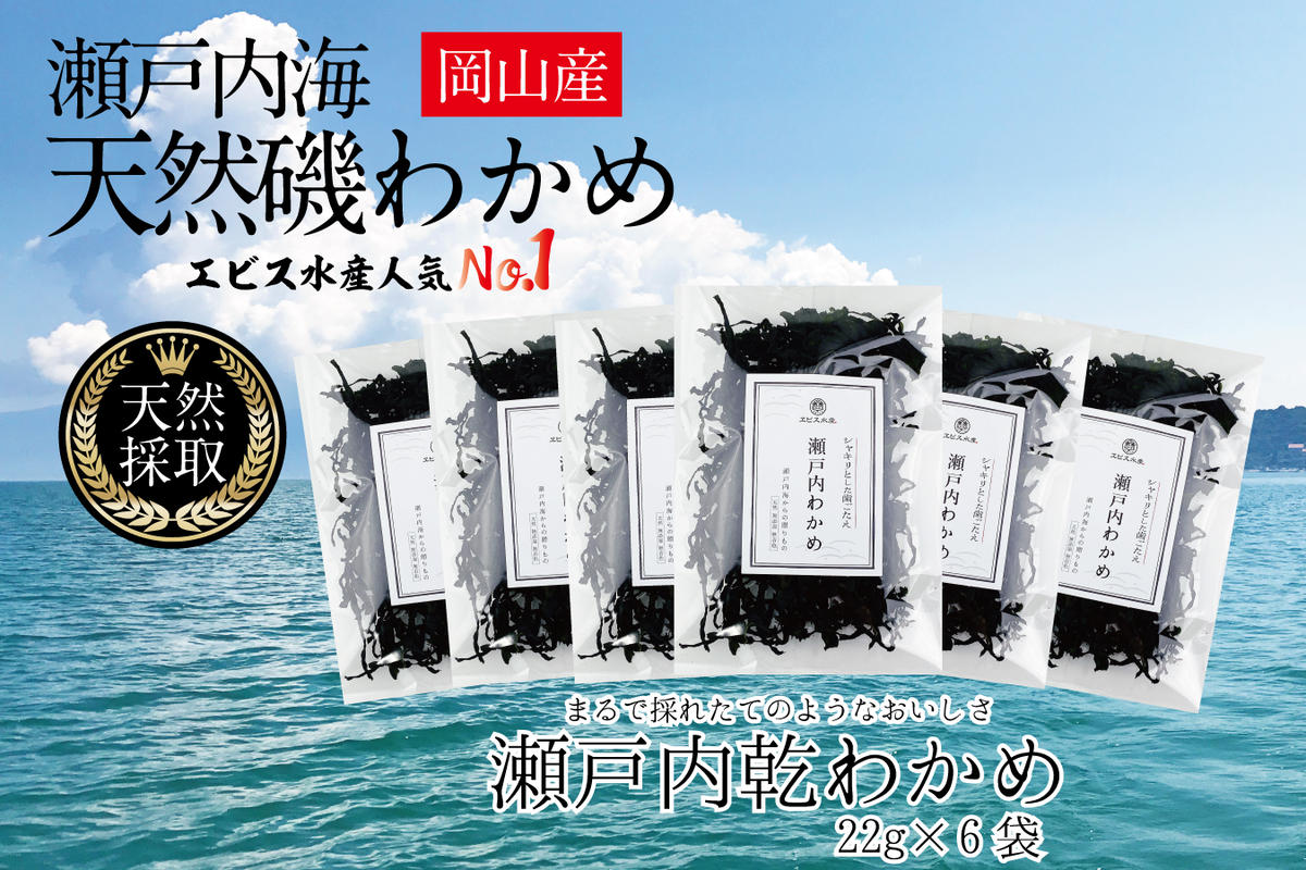 風味豊かな 瀬戸内 わかめ 22g×6袋 エビス水産【岡山 瀬戸内海 天然 カットわかめ】