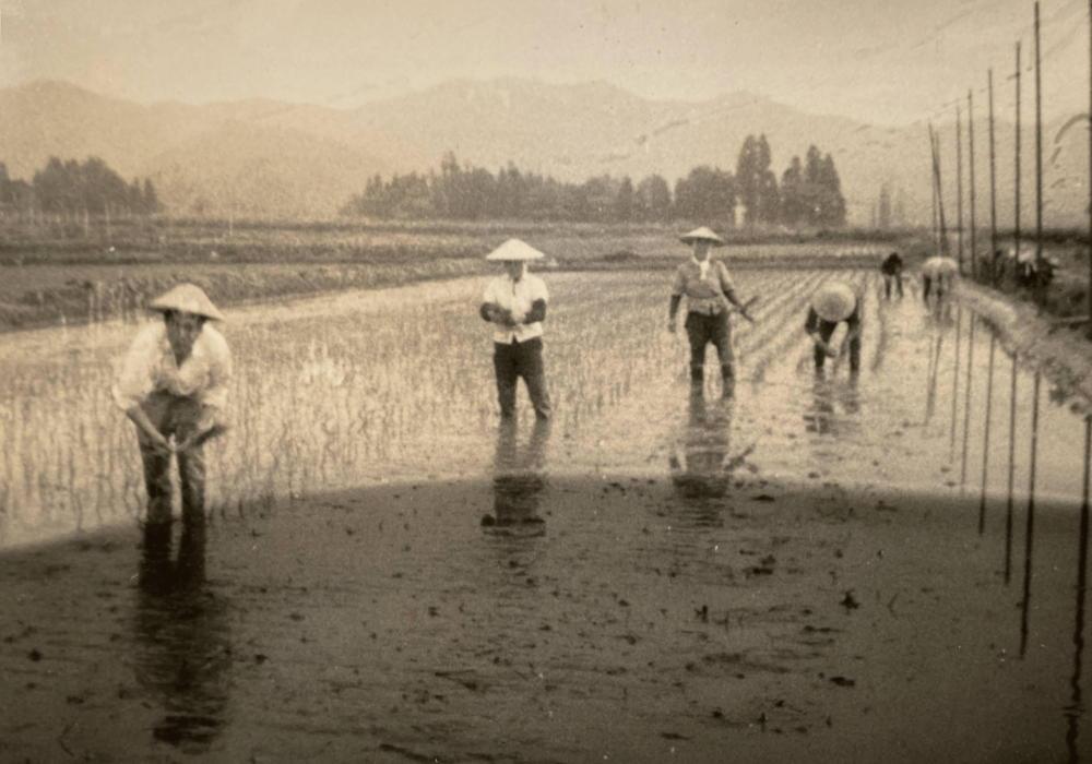 【定期便】【令和7年産新米】5kg×3ヶ月　厳選こだわり南魚沼産コシヒカリ「こまがた農園のお米」