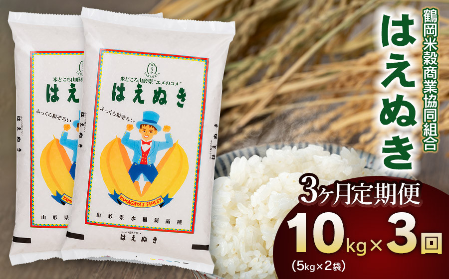 【3回定期便】【令和7年産】 はえぬき 10kg(5kg×2)×3回 山形県庄内産　鶴岡米穀商業協同組合