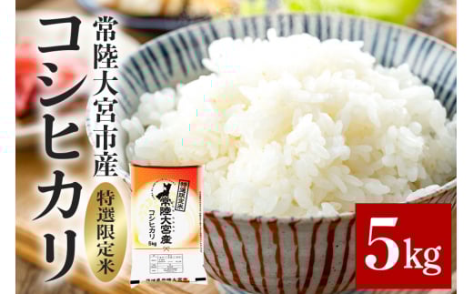 【先行予約】常陸大宮産 コシヒカリ 5kg 特選限定米 白米 精米 おこめ ご飯 国産米 お米ギフト ブランド米 贈答用 人気のお米 美味しいお米  ho1396