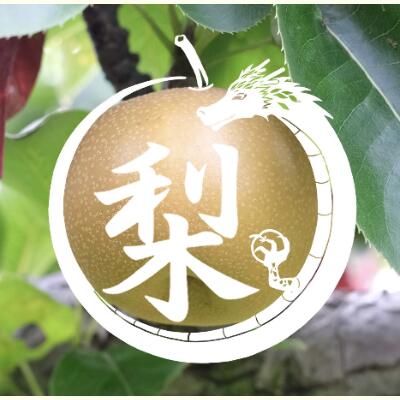 【ふるさと納税】【栽培期間中 無農薬】信州産 梨 安心安全の南水 約 3kg (8玉前後) フルーツ 果物 長野 長野県産 信州産 デザート おすすめ 特産 産地直送 　お届け：2026年9月中旬～10月上旬ごろ