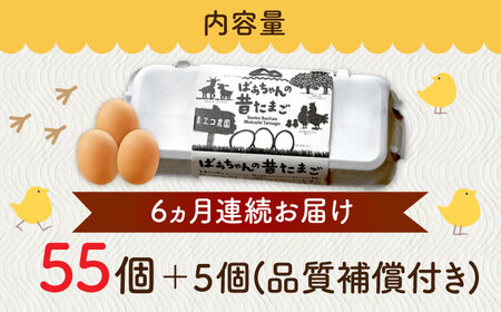【全6回定期便】ばあちゃんの昔たまご 計360個（55個+5個×6回（品質補償付き）） / 佐賀県 / 素ヱコ農園 [41AEAA011]