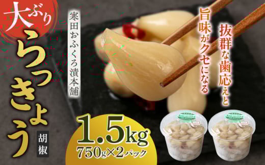 らっきょう 1.5kg（こしょう）　《築上町》【寒田おふくろ漬本舗】 [ABDO003] 10000円
