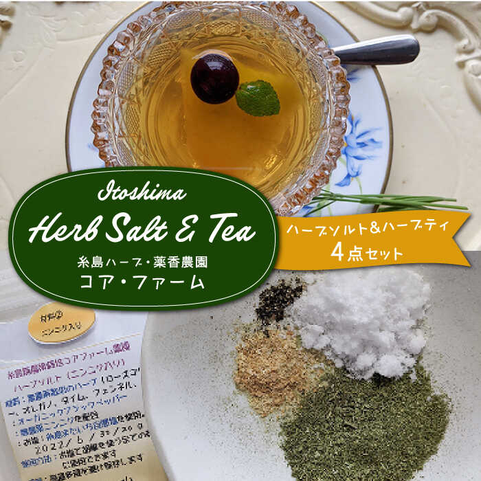 【ふるさと納税】糸島産 オリジナル ハーブ ソルト ＆ ハーブ ティー 4点セット 糸島市 / 糸島ハーブ・薬香農園 コア・ファーム [AJC005] 12000円 常温