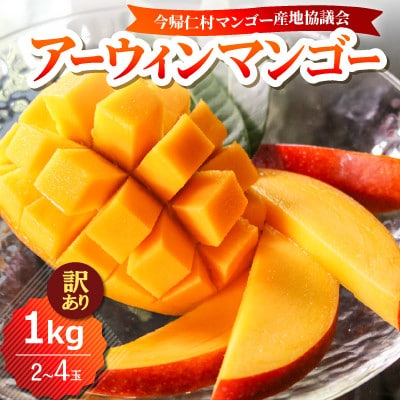 【2026年6月下旬から順次発送・訳あり】今帰仁産のアップルマンゴー1kg(2～4玉)【配送不可地域：離島】