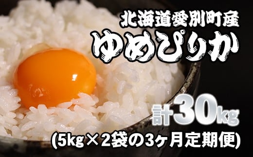 愛別町産米（ゆめぴりか5kg×2袋）3ヶ月定期配送【A16304】