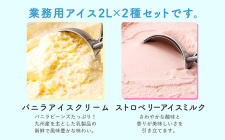 2Lアイス セット (バニラ・ストロベリー) 合計4L アイス 自家製 業務用 大容量