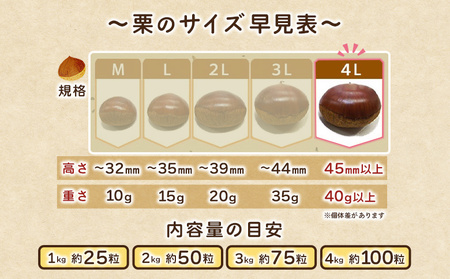 ＜とっても大きい！プレミア生栗 4Lサイズ（約1kg）＞甘い 栗 マロン 和栗 栗ごはん モンブラン 栗きんとん 甘露煮 スイーツ ケーキ 洋菓子 和菓子 お菓子 秋 味覚 産地直送 城川ファクトリー