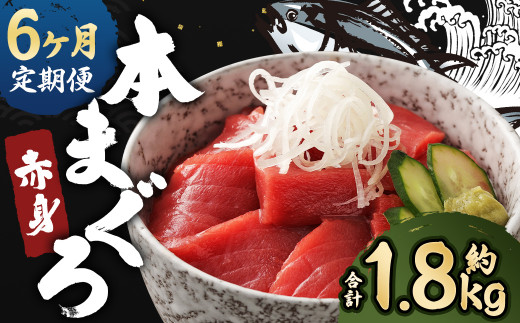 
【6ヶ月定期便】長崎県産 本マグロ 赤身 300g 2人前～3人前 鮪 魚 刺身 【大村湾漁業協同組合】
