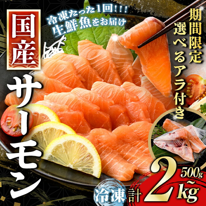 【ふるさと納税】楽天限定 食品添加物不使用 サーモン 国産 ワンフローズン 富士山【冷凍】＜選べる内容量＞ 500g 〜 2kg アトランティック サーモン ポーション アラ 刺身 さしみ 冷凍 小分け サーモン丼 たたき 5000円以内 限定【期間限定アラ付き！2026年3月31日まで】