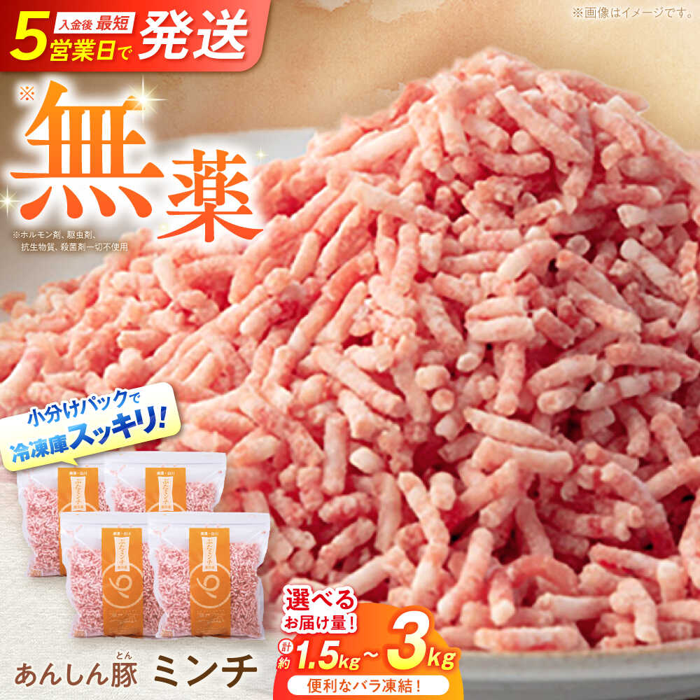 【ふるさと納税】【容量が選べる！】《バラ凍結》 ミンチ 豚肉 肉 小分け 離乳食 冷凍 白川町 / 藤井ファーム[AWAF033]