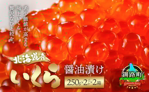 【8月配送】いくら醤油漬け 1kg（250g ×2パック ×2箱） 【発送時期が選べる】 北海道産 国産 いくら イクラ 天然 鮭 サーモン 鮭卵 鮭いくら 小分け サイズ 冷凍 高級 配送月指定 配送月を選べる 配送時期 発送月が選べる 発送月 魚介類 海鮮 絶品 人気 笹谷商店 直営 釧之助本店 高級 ギフト 贈答用 贈答品 北海道 釧路町 釧路超 特産品 br01