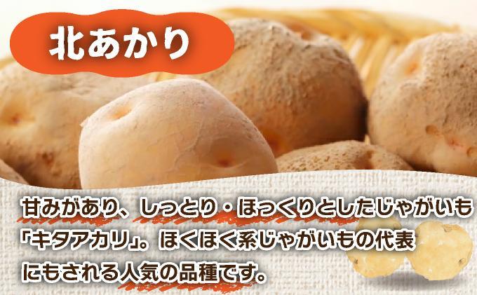 ＜先行予約＞北海道産 じゃがいも(北あかり) 約10kg【hjf-006】ジャガイモ 馬鈴薯 ポテト 芋 イモ きたあかり キタアカリ 野菜 人気 ふじいファーム 10kg