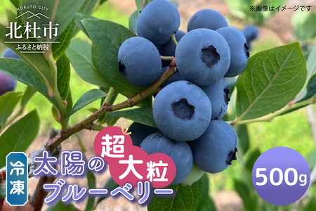 【超大粒】山梨県産（明野産）冷凍　ブルーベリー500g　ブルーベリー500g　ブルーベリー 超大粒 冷凍 500g 無農薬 期間限定 数量限定 フルーツ くだもの 冷凍フルーツ 新鮮 ジュース ジャム お菓子 山梨県 北杜市 明野町