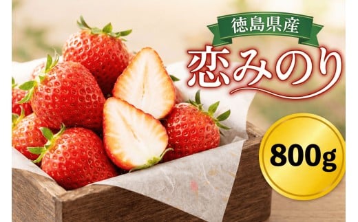 徳島県産 恋みのり 800g 甘い いちご 美味しい 品種 果物 フルーツ 苺 ストロベリー ジャム スムージー 洋菓子 家族 子ども フルーツサンド フルーツ大福 いちご大福 苺大福 人気 オススメ お取り寄せ グルメ いちご狩り いちごはうす 近藤 民宿 農家民宿 徳島 三好 みよし