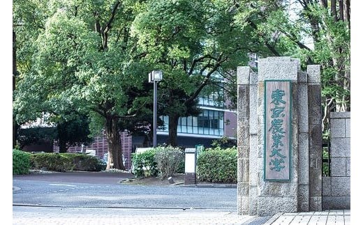 
            東京農業大学への寄附（区内大学等応援補助事業）
          