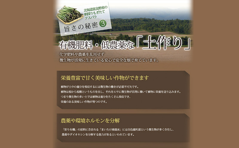 【2027年春発送】極太 グリーンアスパラ 3Lサイズ 1kg (スイー