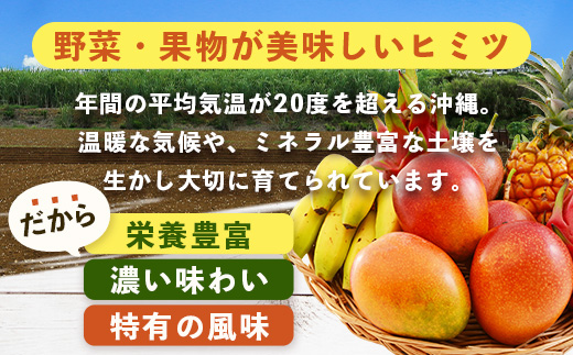 沖縄県 石垣島の野菜・フルーツBOX 1箱 ≪野菜4～5種類、フルーツ1~2種類≫ じょーとーまーさん(とても美味しい) 石垣島の野菜とフルーツの詰め合わせセットをお楽しみください！！CK-4｜沖縄 