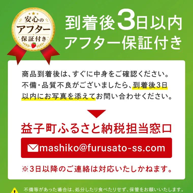 【先行予約】栃木県産 とちあいか 合計1,000g (250g以上×4パック) 【栃木県共通返礼品/高根沢町産】(DW001)