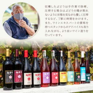 北見産ぶどう100％のワイン 桜夢雫 ( 緋色ロゼ ワイン 国産 ブドウ ロゼ 辛口 750ml )【075-0002】