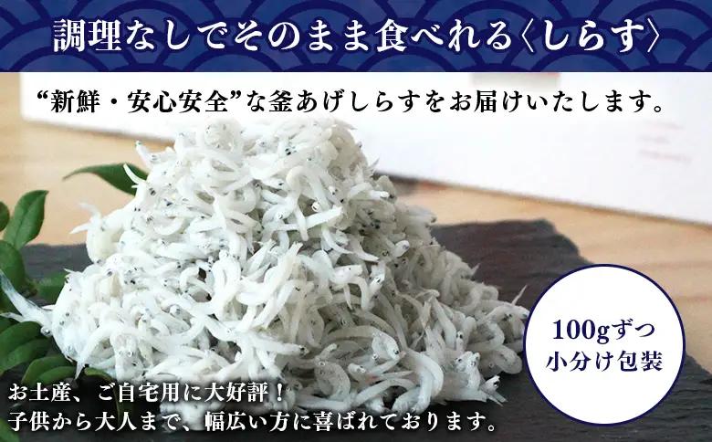 ＜老舗網元 濱田屋の釜あげしらす 計1.1kg（100g×11袋）＞『1か月以内に順次出荷予定』 数量限定 化粧箱 簡易包装 選べる 釜揚げ シラス じゃこ 海鮮 海産物 丼 小魚 乾物 小分け カル