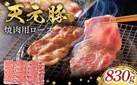 天元豚焼肉用ロース830g F2Y-6590