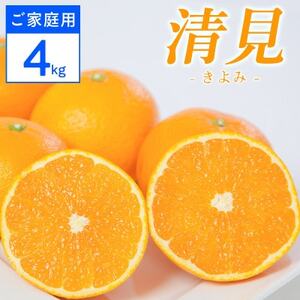 【ご家庭用】清見 4kg 愛媛県 八幡浜市 西宇和地区 柔らかい果肉【D25-364】【配送不可地域：離島】【1716964】