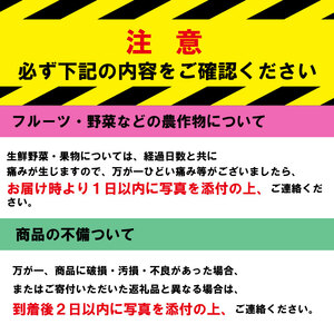 野菜 白菜 ミニ白菜 6個 ミルフィ～菜 小分け 鍋 餃子 キムチ 漬物 冬野菜 阿波市 徳島県