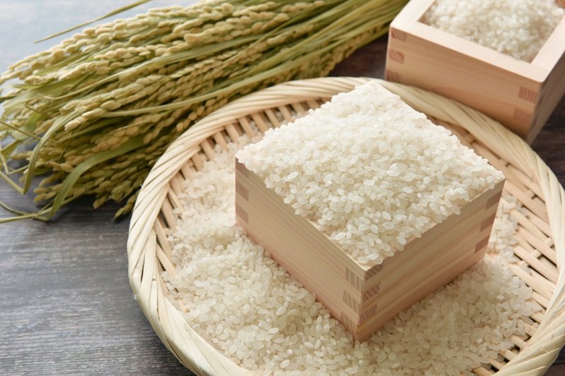特別栽培米・伊賀産 コシヒカリ（白米）10kg【tuli0003A】