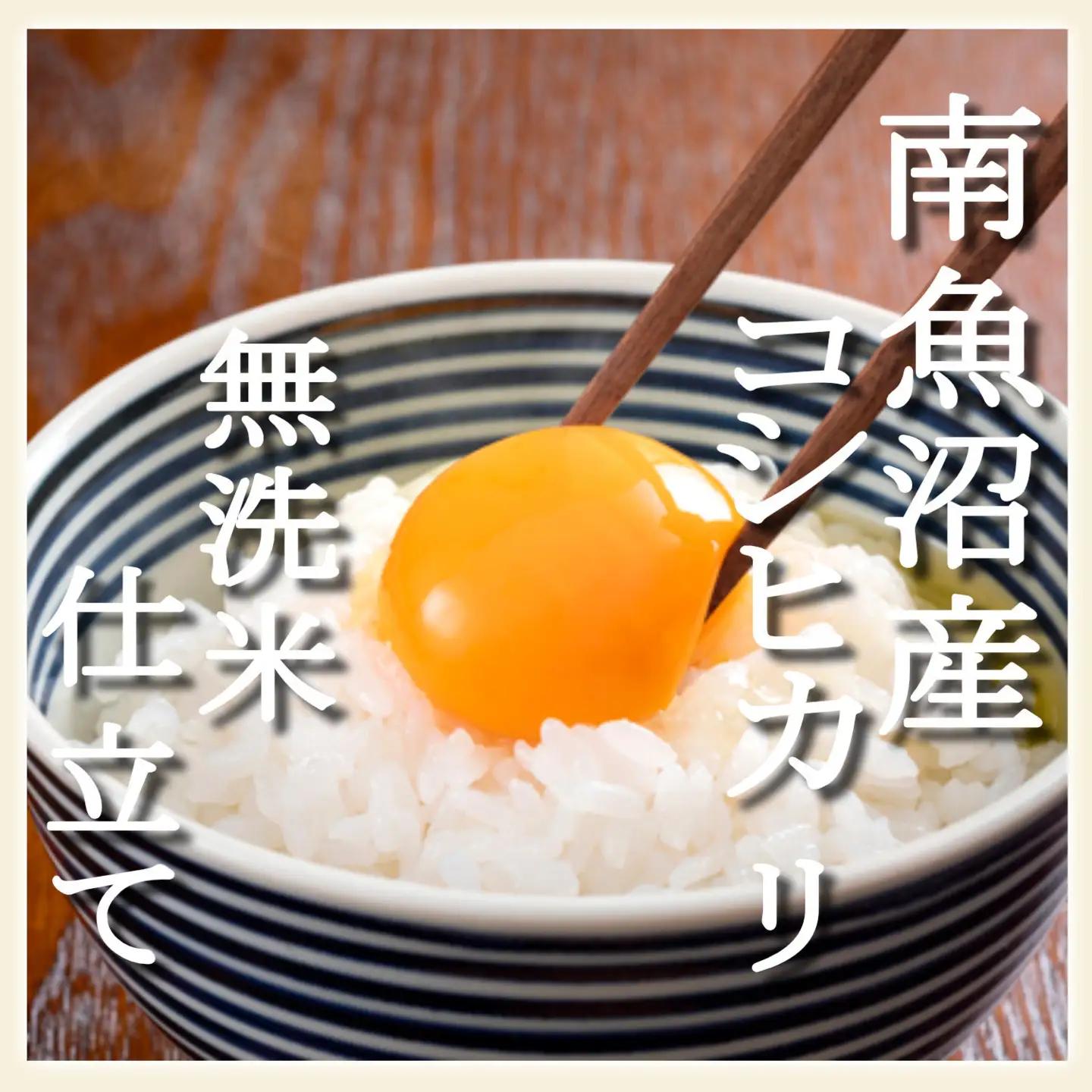 【令和7年】【無洗米5Kg】吟精  南魚沼産コシヒカリ｜コシヒカリ