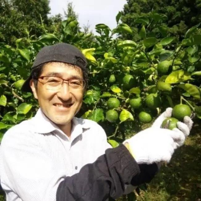 【先行予約】かぼす(4kg) | 豊後高田市 かぼす