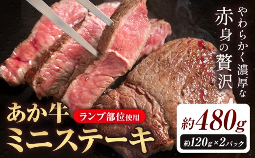 あか牛ミニステーキ ランプ部位使用 約480g 合同会社たべたせいか《30日以内に出荷予定(土日祝除く)》熊本県 菊池市 肉 牛肉 お肉 和牛 あか牛 ステーキ ミニステーキ 個包装 小分け 熊本県産 冷凍 送料無料