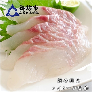 御坊産　鮮魚セット5kg【配送不可地域】沖縄・北海道・東北・九州