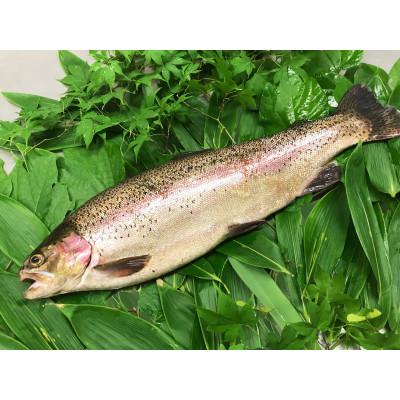 ふるさと納税 北杜市 【甲州ワイン鱒】お刺身用柵 / 冷燻 / 温燻  3種食べ比べセット |  | 02