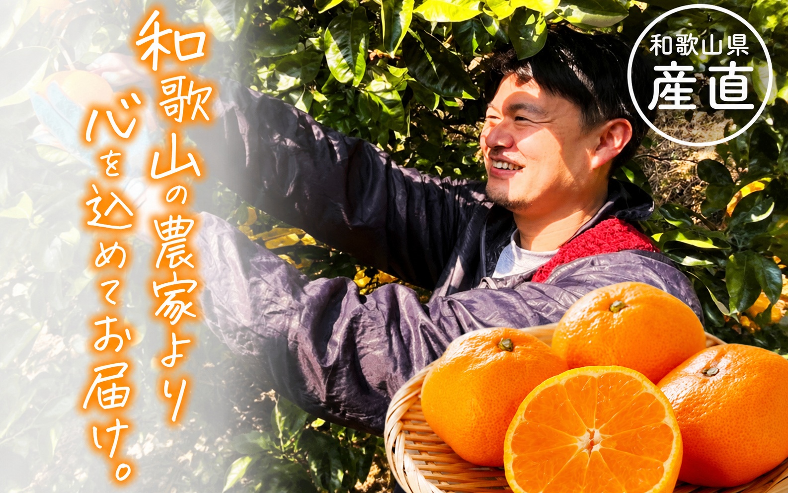 【旬のくだもの定期便】 わかやま 旬の くだもの 定期便 【L】全3回 / フルーツ まりひめ いちご 小玉 すいか ※北海道・沖縄・離島への配送不可（配送日時指定不可）※北海道・沖縄・離島への配送不