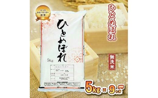 ひとめぼれ 無洗米 5kg 定期便 9ヶ月 9回 精米 白米 お米 米 こめ コメ おこめ ごはん 五つ星お米マイスター推奨 ブランド米 岩手県産 盛岡市産 産地直送 農家直送 令和 新鮮 美味しい 粘り 岩手県 盛岡市 東北 岩手 盛岡 株式会社佐々木米穀店