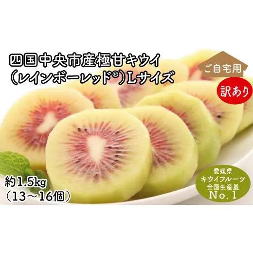 ＜10月下旬以降発送＞【ぽぽ農園】【訳あり・ご自宅用】レインボーレッドキウイ（四国中央市産レインボーレッド） Lサイズ 約1.5kg（13個～16個）