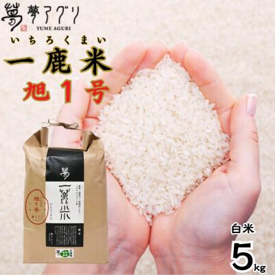 ふるさと納税 山鹿市 一鹿米 旭一号 栽培期間中肥料農薬不使用 米 白米 5kg【株式会社夢アグリ】《山鹿市》