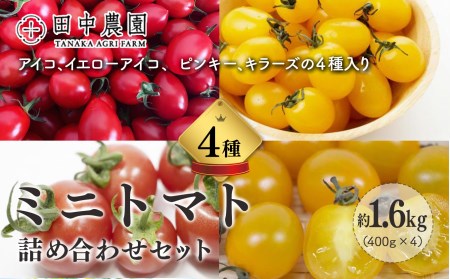 ミニトマト 約400gx4約 計1.6kg ｜ヤサイ 野菜 やさい トマト とまと ミニトマト 奈良県 五條市
