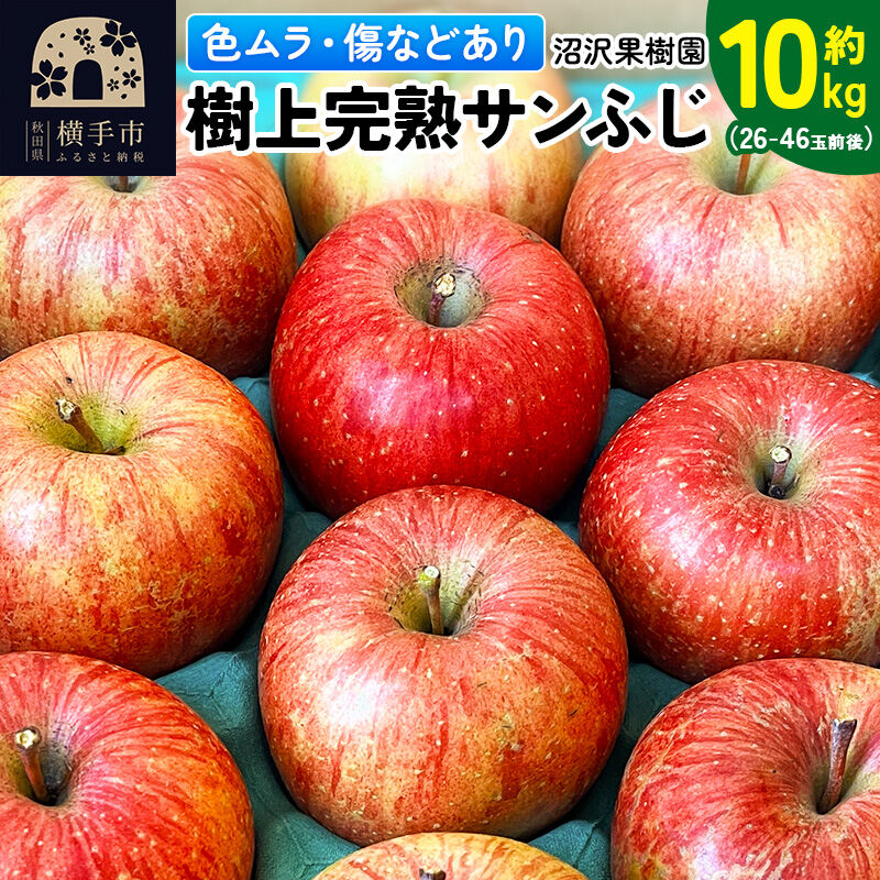 【先行受付】12月上旬より発送 【色ムラ・キズ等あり】樹上完熟サンフジ 約10kg（26～46玉前後） [先行予約 サンふじ サンフジ 林檎 リンゴ 家庭用 不揃い フルーツ 果物 【りんご】特集]