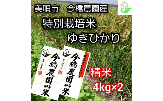 
【希少品種】今橋農園の「ゆきひかり」４kg×２袋　精米　特別栽培米　令和５年産
