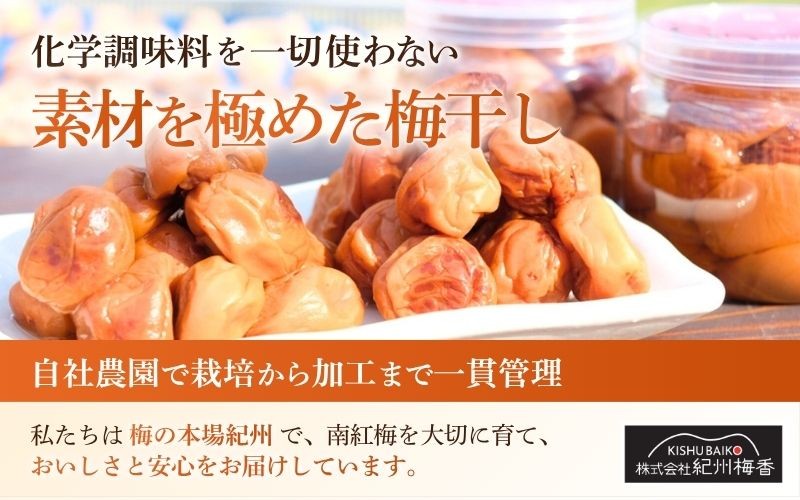 無添加 塩だけ 昔ながらの梅干し 南高梅 紀州梅香 完熟 白干し梅 訳あり つぶれ梅1kg（500gパック×2個）塩分20% 【baiko010】