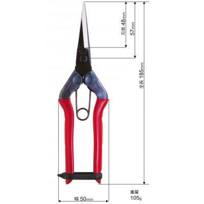 ふるさと納税 和泉市 【芽切鋏】◇近正のハサミ T-550 |  | 02