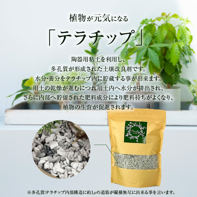 三河焼 植木鉢 ダークシルバー【テラチップいぶし】プランター お手軽 植物栽培セット 園芸 粘土 鉢 植物 土 シルバー 銀 H188-001
