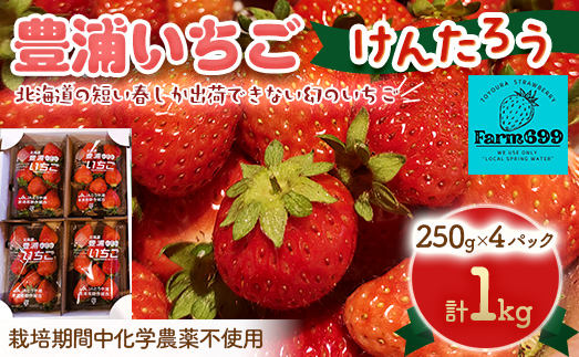 【2025.4月下旬以降出荷】豊浦いちご　250ｇ×4パック ふるさと納税 人気 おすすめ ランキング 果物 いちご苺 イチゴ 国産いちご 国産苺 けんたろう セット おいしい 美味しい 北海道 豊浦町 送料無料 TYUAH003
