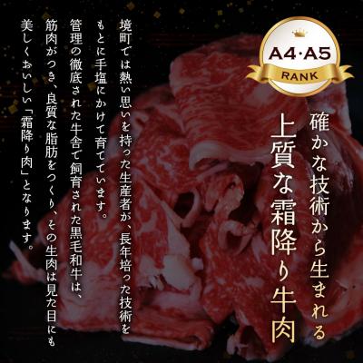 ふるさと納税 境町 常陸牛100% 極ハンバーグ130g×6個セット(合計780g) 個包装 |  | 02
