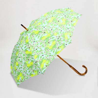 ふるさと納税 東大阪市 EMILY BURNINGHAM 晴雨兼用長傘47cm [クインスウィズビー]