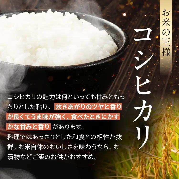令和8年度 新米 栃木県産 こしひかり 2kg 玄米 密閉パック | BG 栃木県共通返礼品 真岡市産 栃木県 下野市