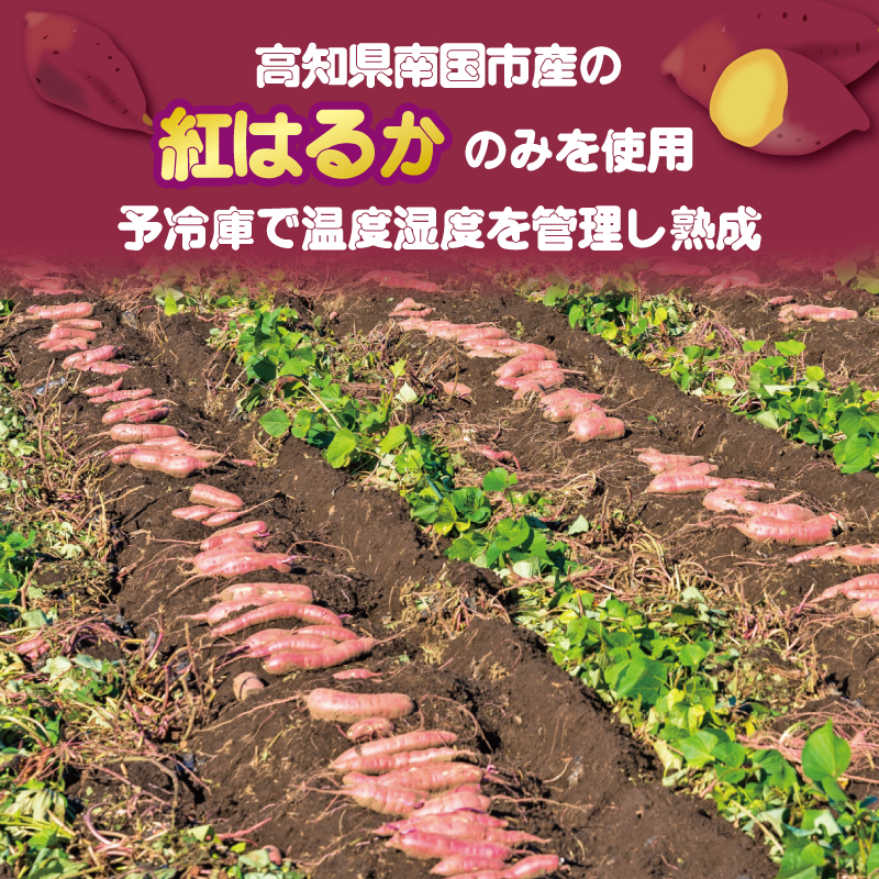 高知名物 いも天 5個×3パック 健康 美容 整腸 いも 芋 おやつ お菓子 食物繊維 サツマイモ 天ぷら 紅はるか おいも お芋 冷凍 高知県 南国市